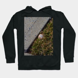 There Is No Crying in Baseball Hoodie